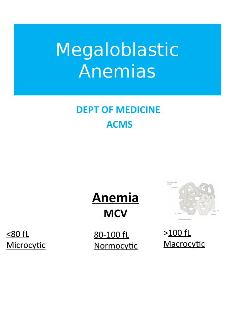 Megaloblastic Anemias Dept of Medicine Acms PDF Anemia Vitamin B12