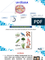 Ppt-1° Cta - Semana 2