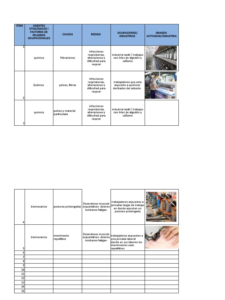 Matriz de Enfermedades Laborales | PDF | Enfermedades y trastornos ...