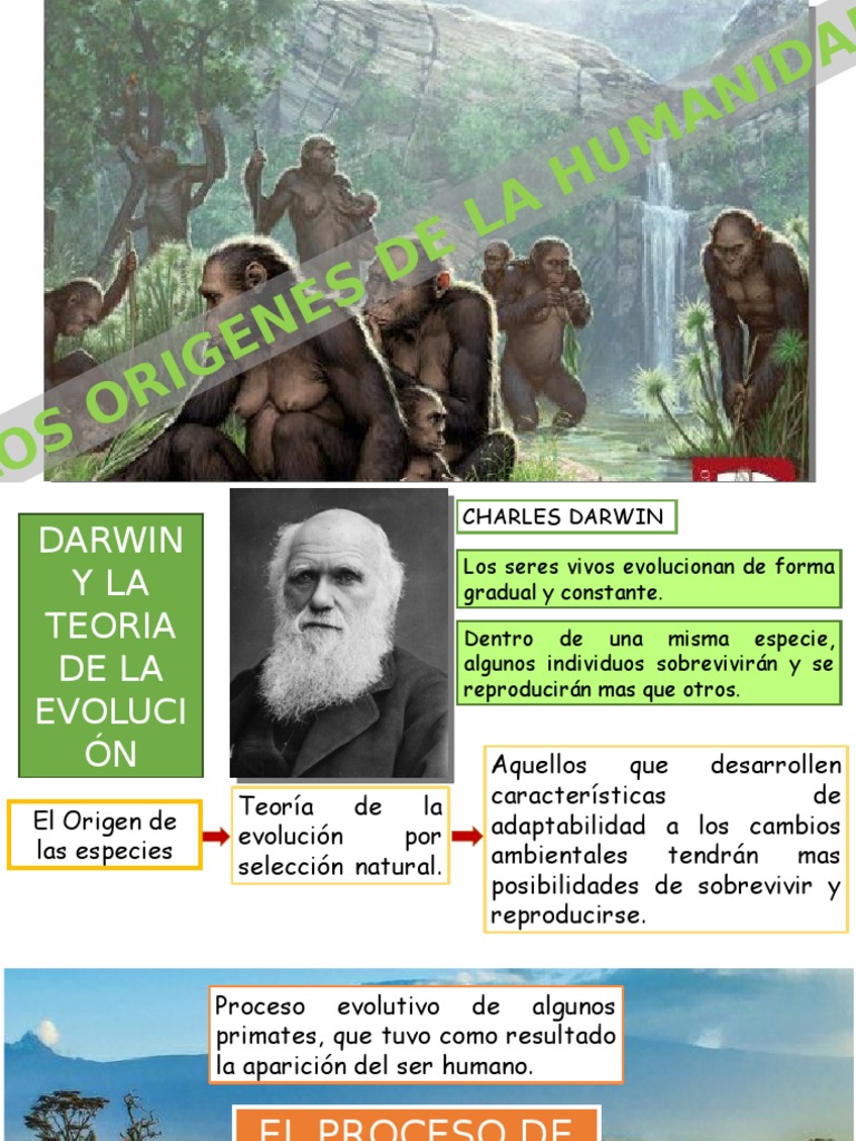 Orígenes y Evolución de la Humanidad | PDF | Evolución humana | Homo