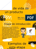 Ciclo de Vida de Un Producto