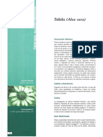 Dialnet-SabilaAloeVera-4956300.pdf