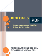 Perbedaan Dinding Sel Dengan Membran Sel