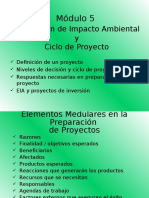 Mod 05 EIA y Ciclo Del Proyecto