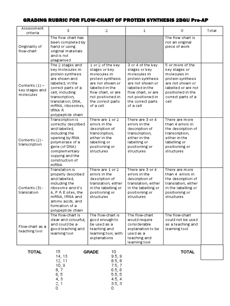 Grading Rubric for Protein Synthesis Chart | PDF | Translation (Biology ...
