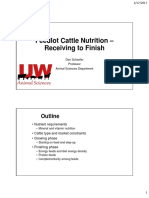 2017 2 20 Feedlot Cattle Nutrition 2 PG PDF