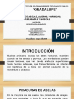 Dispositivas Picaduras