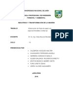 Informe Pulpa Papel - Docx 2