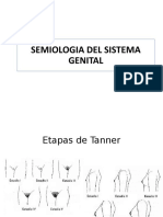 Semio Genital 20