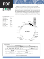 pET-38b (+) Vector: Developed Through Collaboration Between Novagen and CBD Technologies, Inc