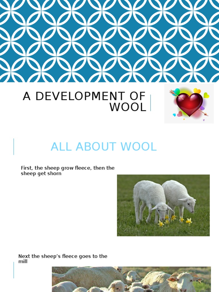 Wool Production Process Explained | PDF