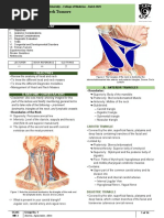 Head and Neck Tumors