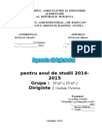 Agenda Dirigintelui Nou (1).docx