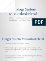 Fisiologi Sistem Muskuloskeletal - Muammar Aqib Mufti