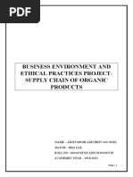 Business Environment Project