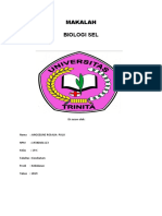 Makalah Biologi Sel Dan Biologi Perkembangan