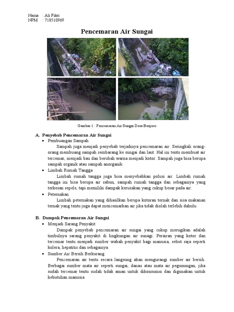 Penyebab dan Solusi Pencemaran Air | PDF