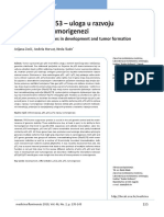 Zoric The p53 Family of Genes in Development and Tumors