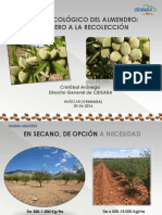 04 Cultivo Ecologico Del Almendro Del Vivero A La Recoleccion C Arenega 1472645477
