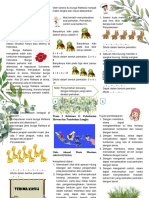 Brosur PDF