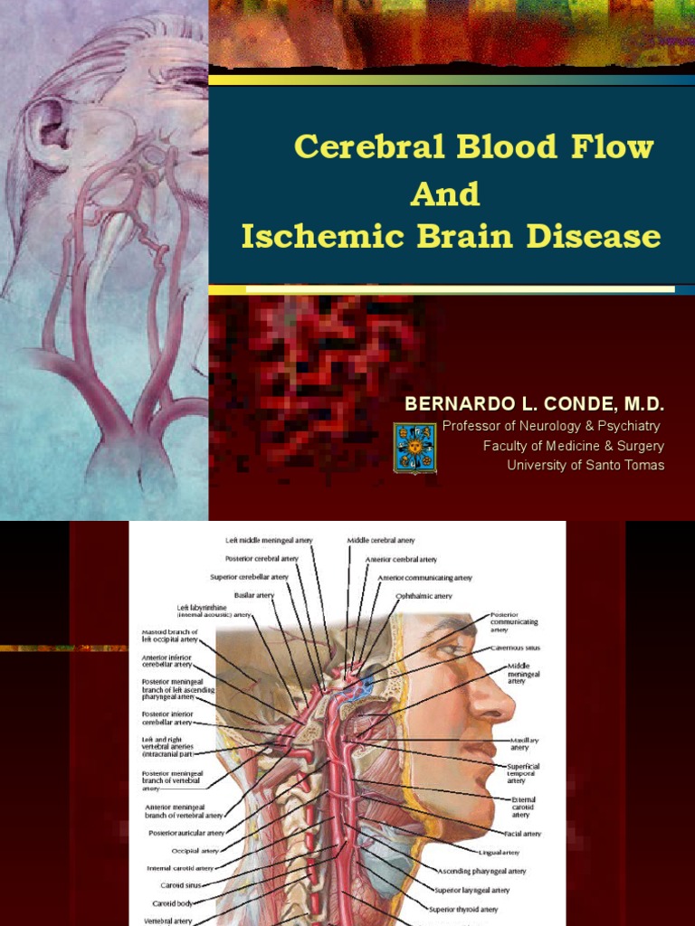 Cerebral Blood Flow and Ischemic Brain Disease: Bernardo L. Conde, M.D ...