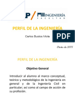 Perfil de La Ingenieria