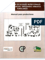 MANUAL ELABORACION DE BLOQUES MULTINUTRICIONALES.pdf