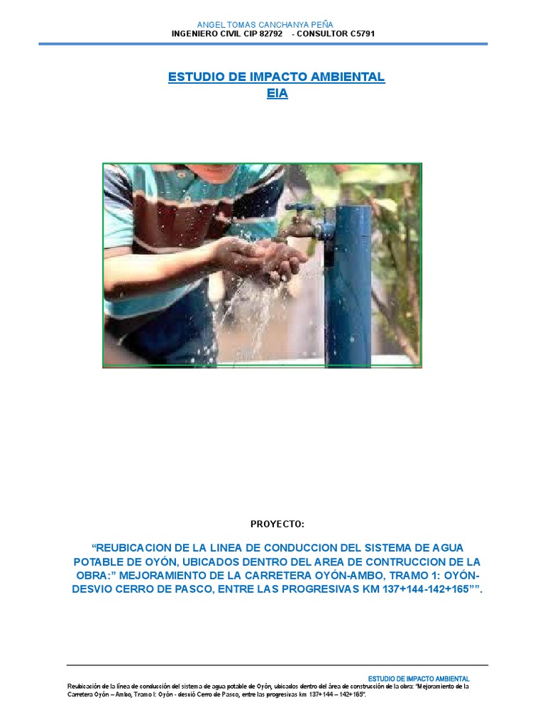 Estudio Eia | PDF | Evaluación de impacto ambiental | Entorno natural