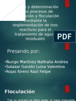 Análisis y Determinación de Los Procesos de Coagulación