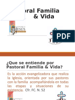 Pastoral Familia & Vida, Que Es?