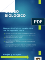 Riesgo Biologico