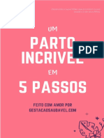 Um Parto Incrível em 5 Passos PDF