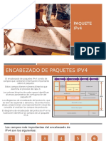 Paquete IPv4