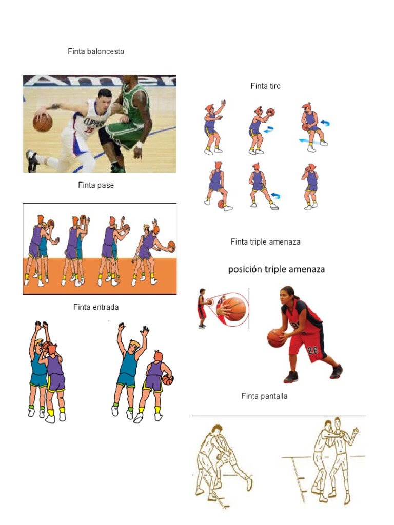 Finta Baloncesto PDF