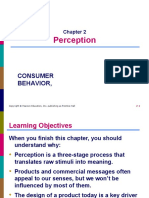 Perception: Consumer Behavior