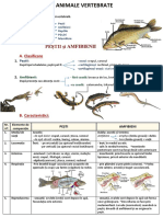 Biologie V Pesti Si Amfibieni