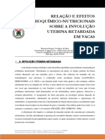 Involução Uterina PDF