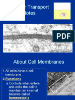 celltransportnotes2006-110708221851-phpapp02.ppt