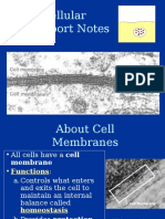 Cell Membrane and Cell Transport Notes New 1228089530353902 8