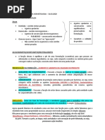 Aula - Fundamentos da Cosmetologia - 31.03.2020