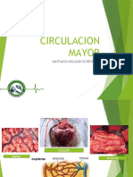 Circulacion Mayor: Santiago Holguin Echeverry