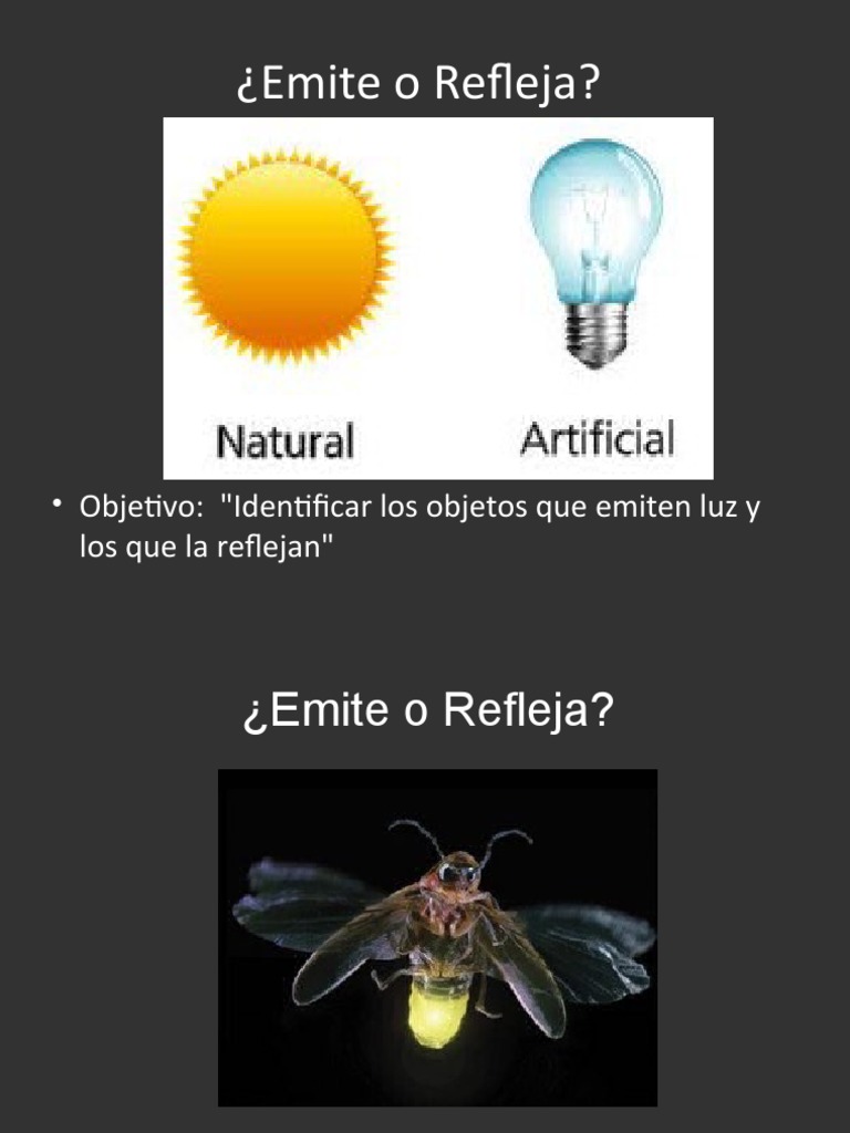 Objetos que Emiten y Reflejan Luz | PDF