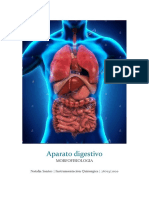 Aparato Digestivo PDF