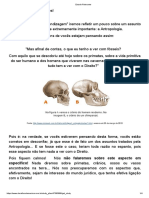 Estudo Relevante - 1