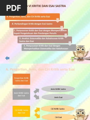 Bab 6 Kritik Dan Esai