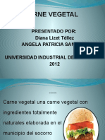 Carne Vegetal