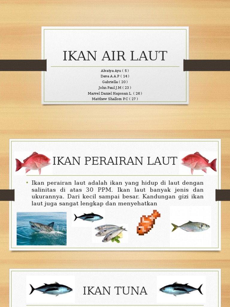 9200 Ikan Air Laut Salinitas HD Terbaru