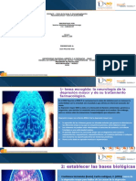 Neurobiología de La Depresión Mayor y de Su Tratamiento Farmacológico y Las Diapositivas.