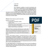 2.Metabolismo de carbohidratos