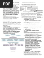 gaze.‼️ Otdiagapp | PDF | Evidence Based Medicine | Health Sciences